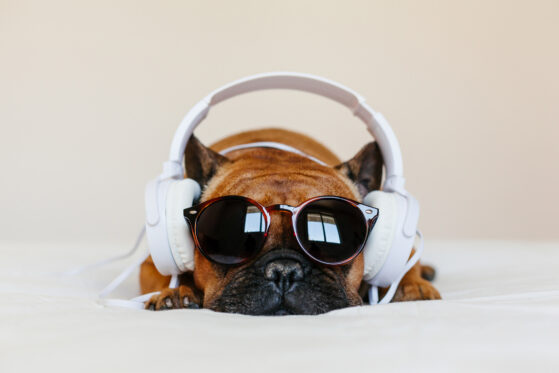 How to Get Your Music in Front of the Right People